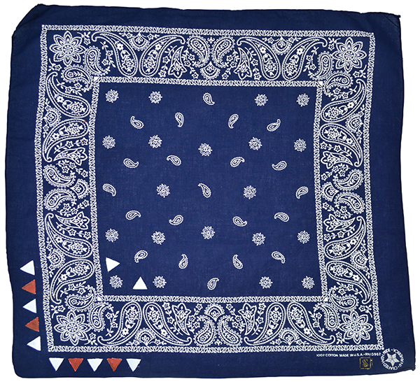 Doctor'd by Squar'd Away - Navy Triangle Bandana