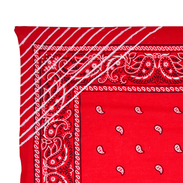 Doctor'd by Squar'd Away - Red Line Bandana