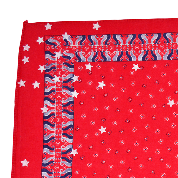 Doctor'd by Squar'd Away - Red Star Kerchief